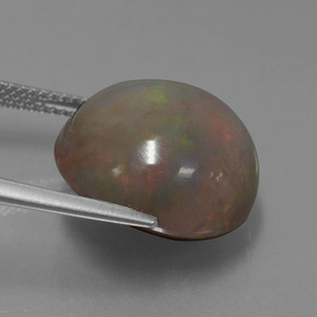 Opale chocolat multicolore naturelle coupe roude, 11,31 ct, opaque