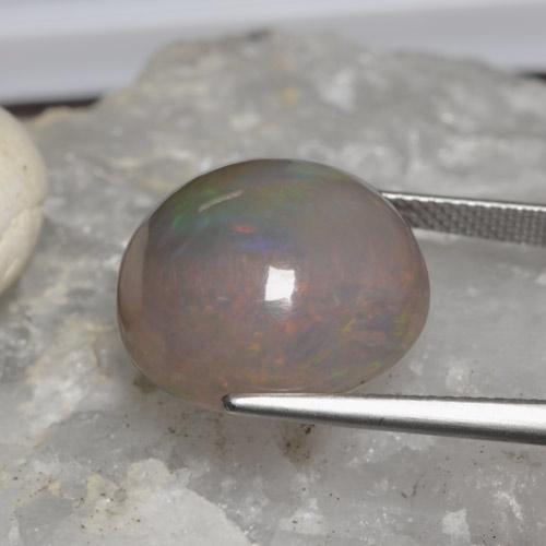 Opale Chocolat Multicolore naturelle Coupe roude, 11.31 ct, Opaque