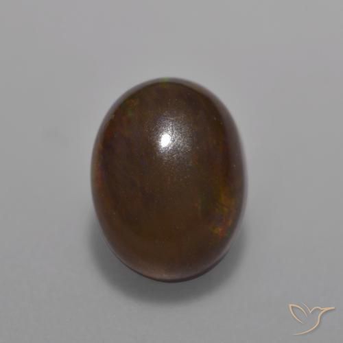 Opale Chocolat Multicolore naturelle ovale, 1.26 ct, Translucide