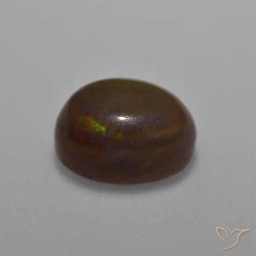 Opale Chocolat Multicolore naturelle ovale, 1.26 ct, Translucide