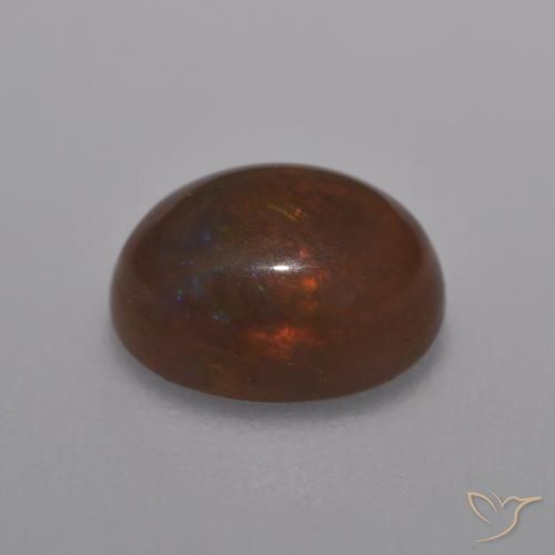 Opale Chocolat Multicolore naturelle ovale, 1.01 ct, Translucide