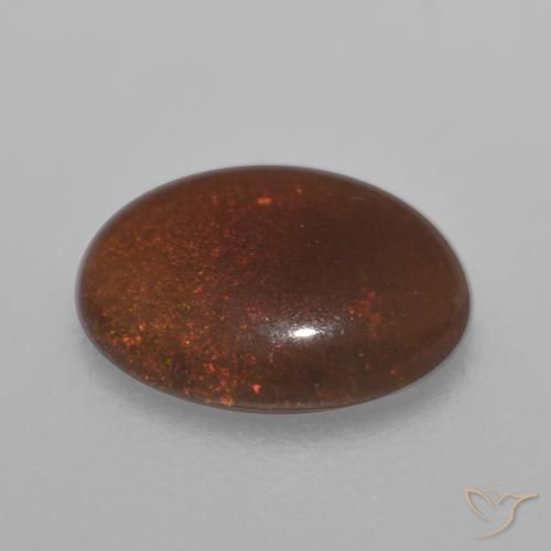 Opale Chocolat Marron chaud naturelle ovale, 0.59 ct, Translucide
