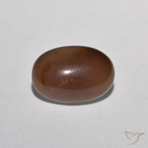 Opale Chocolat Multicolore naturelle ovale, 0.49 ct, Translucide
