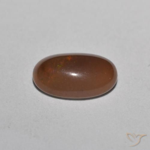 Opale Chocolat Multicolore naturelle ovale, 0.49 ct, Translucide