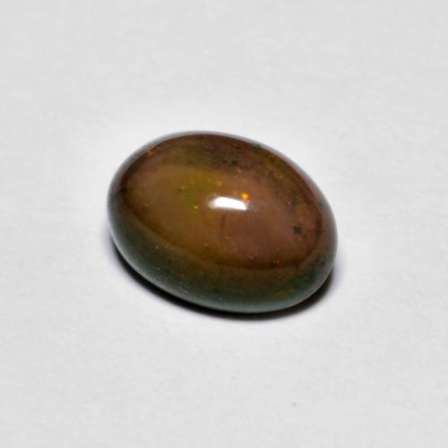 Opale Chocolat Brun caryer naturelle Coupe ovale, 0.73 ct, Opaque