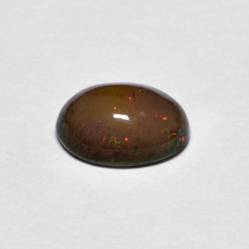 Opale Chocolat Brun caryer naturelle Coupe ovale, 0.73 ct, Opaque