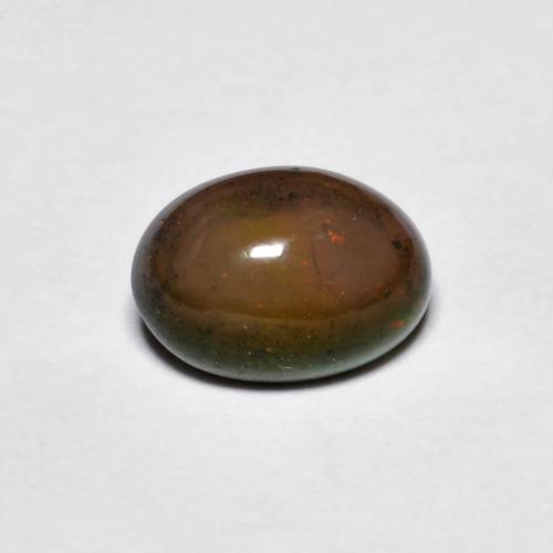 Opale Chocolat Brun caryer naturelle Coupe ovale, 0.73 ct, Opaque