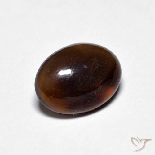 Opale Chocolat Brun naturelle ovale, 1.27 ct, Translucide