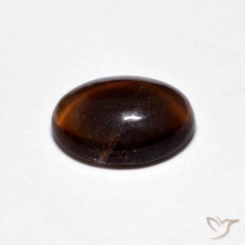 Opale Chocolat Brun naturelle ovale, 1.27 ct, Translucide