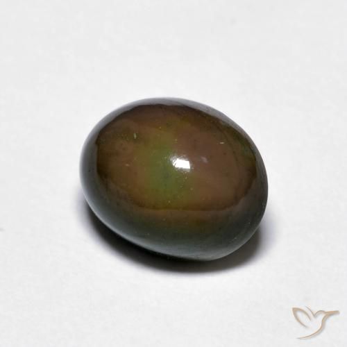 Opale Chocolat Marron foncé naturelle ovale, 1.56 ct, Opaque