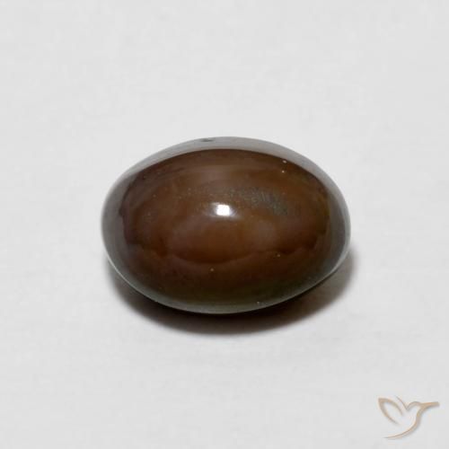 0.67ct Naturel Marron foncé Opale Chocolat, ovale, Opaque