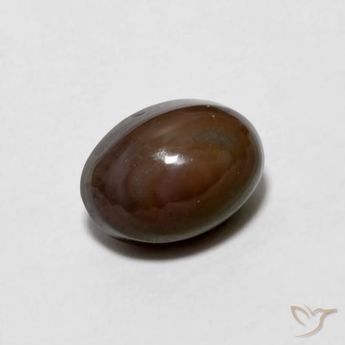 Opale Chocolat Marron foncé naturelle ovale, 0.67 ct, Opaque