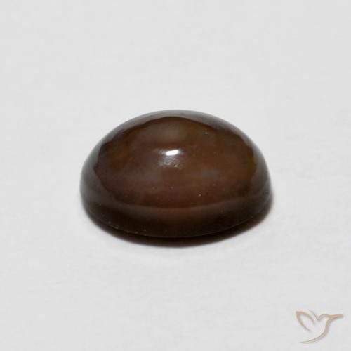 Opale Chocolat Marron foncé naturelle ovale, 0.67 ct, Opaque