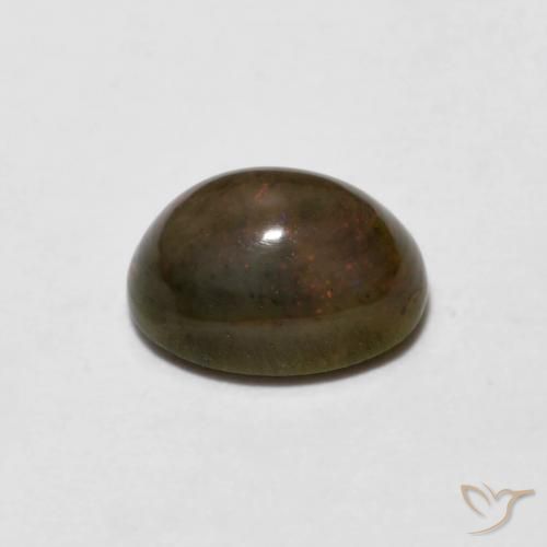 Opale Chocolat Brun doré naturelle ovale, 0.66 ct, Opaque