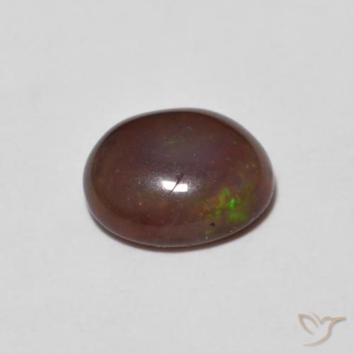 Opale Chocolat Multicolore naturelle ovale, 0.65 ct, Translucide