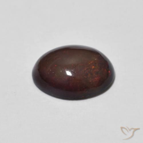 Opale Chocolat Multicolore naturelle ovale, 1.01 ct, Translucide