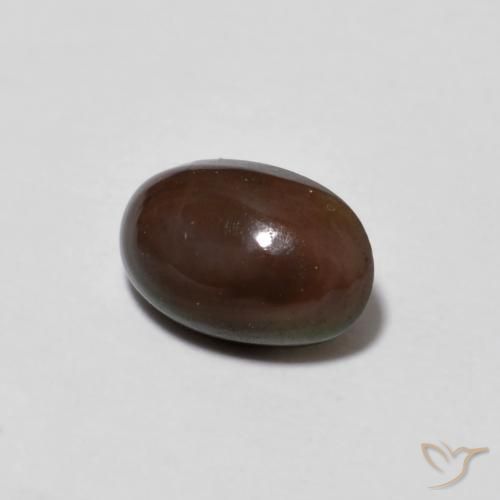 Opale Chocolat Multicolore naturelle ovale, 0.50 ct, Translucide