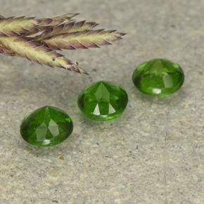 Achetez naturel 0.63ct Vert Diopside Chrome gems, Coupe roude, En provenance Russie chez GemSelect. En stock, livraison internationale!
