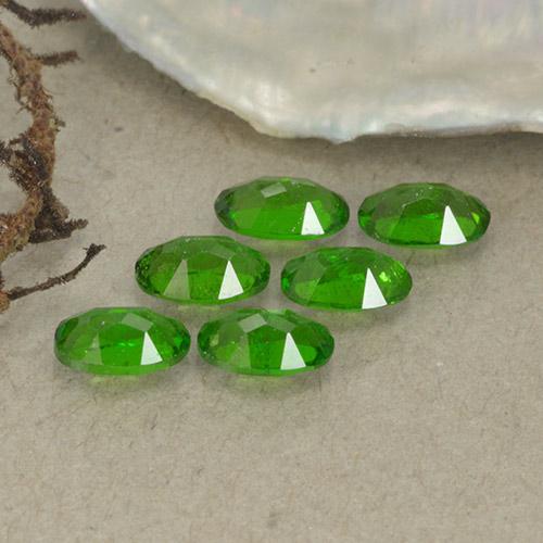 Achetez naturel 1.50ct Vert moyen-foncé Diopside Chrome gems, Coupe ovale, En provenance Russie chez GemSelect. En stock, livraison internationale!