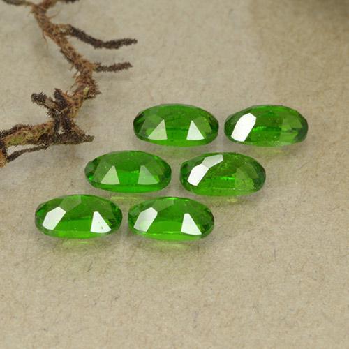 Achetez naturel 1,67ct vert diopside de chrome gems, coupe ovale, en provenance russie chez gemselect. en stock, livraison internationale!
