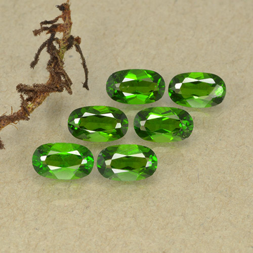 Achetez naturel 1,50ct vert diopside de chrome gems, coupe ovale, en provenance russie chez gemselect. en stock, livraison internationale!