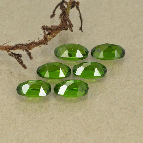 Achetez naturel 1,62ct vert diopside de chrome gems, coupe ovale, en provenance russie chez gemselect. en stock, livraison internationale!