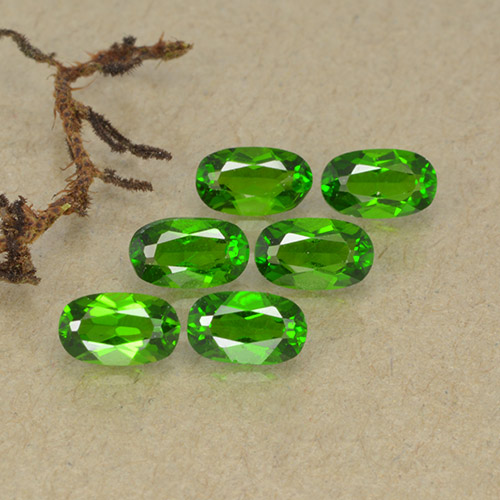 Achetez naturel 1,57ct vert diopside de chrome gems, coupe ovale, en provenance russie chez gemselect. en stock, livraison internationale!