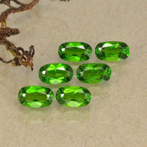 Achetez naturel 1.69ct Vert moyen-foncé Diopside Chrome gems, Coupe ovale, En provenance Russie chez GemSelect. En stock, livraison internationale!
