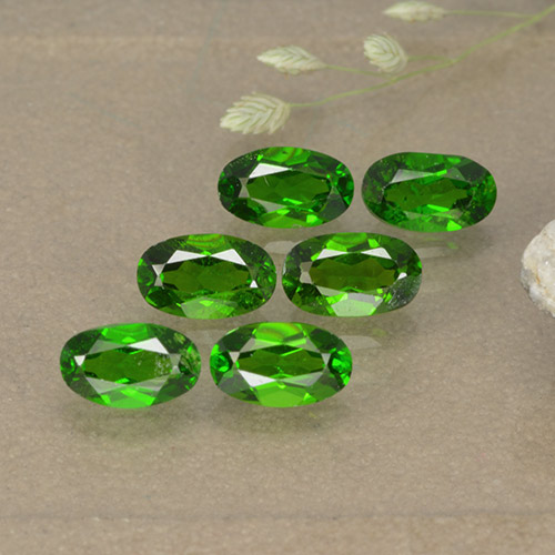 Achetez naturel 1.57ct Vert moyen Diopside Chrome gems, Coupe ovale, En provenance Russie chez GemSelect. En stock, livraison internationale!