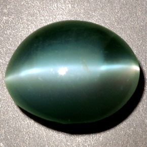 Chrysoberyl cat's eye vert naturelle coupe ovale, 2,48 ct, opaque