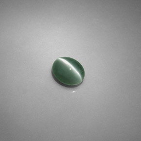 Chrysoberyl cat's eye vert naturelle coupe ovale, 0,75 ct, translucide