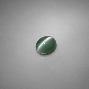 Chrysoberyl cat's eye vert naturelle coupe ovale, 0,75 ct, translucide