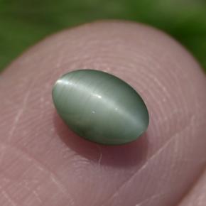 Chrysoberyl cat's eye vert naturelle coupe ovale, 0,86 ct, opaque