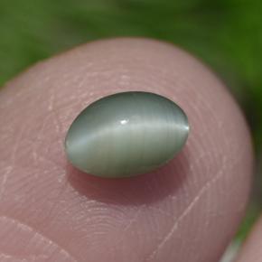 Chrysoberyl cat's eye vert naturelle coupe ovale, 0,86 ct, opaque