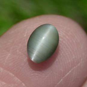 Chrysoberyl cat's eye vert naturelle coupe ovale, 0,86 ct, opaque