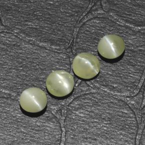 Achetez naturel 1,54ct vert chrysoberyl cat's eye gems, coupe roude, en provenance inde chez gemselect. en stock, livraison internationale!