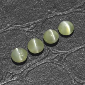 Achetez naturel 1,66ct vert chrysoberyl cat's eye gems, coupe roude, en provenance inde chez gemselect. en stock, livraison internationale!