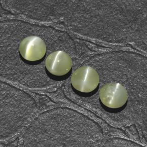 Achetez naturel 1,66ct vert chrysoberyl cat's eye gems, coupe roude, en provenance inde chez gemselect. en stock, livraison internationale!