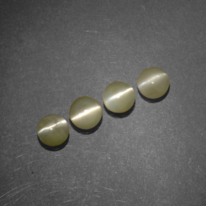 Achetez naturel 1,51ct vert chrysoberyl cat's eye gems, transparent, en provenance inde chez gemselect. en stock, livraison internationale!