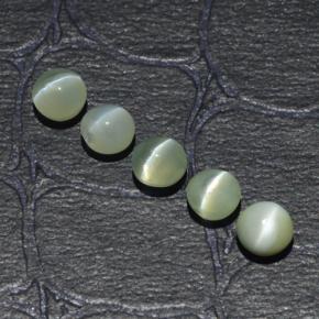Achetez naturel 2,53ct vert chrysoberyl cat's eye gems, coupe roude, en provenance inde chez gemselect. en stock, livraison internationale!