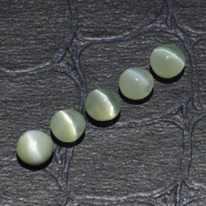 Achetez naturel 2,53ct vert chrysoberyl cat's eye gems, coupe roude, en provenance inde chez gemselect. en stock, livraison internationale!