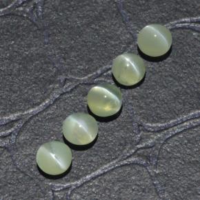 Achetez naturel 2,23ct vert chrysoberyl cat's eye gems, coupe roude, en provenance inde chez gemselect. en stock, livraison internationale!