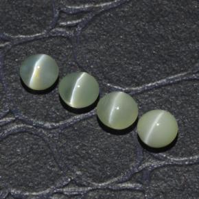 Achetez naturel 1,65ct vert chrysoberyl cat's eye gems, coupe roude, en provenance inde chez gemselect. en stock, livraison internationale!