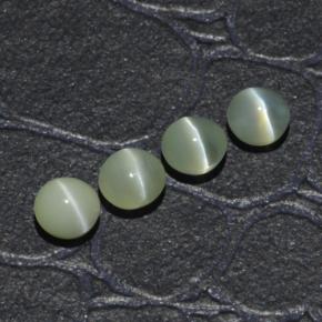 Achetez naturel 1,65ct vert chrysoberyl cat's eye gems, coupe roude, en provenance inde chez gemselect. en stock, livraison internationale!