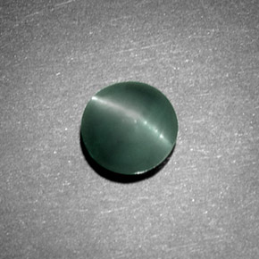 Chrysoberyl cat's eye vert naturelle coupe roude, 1,08 ct, opaque