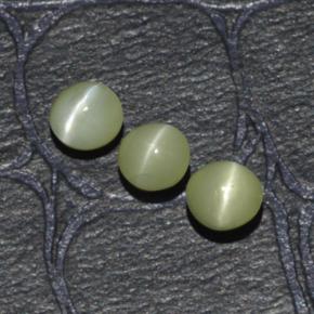 Achetez naturel 1,15ct vert chrysoberyl cat's eye gems, coupe roude, en provenance inde chez gemselect. en stock, livraison internationale!
