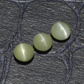 Achetez naturel 1,15ct vert chrysoberyl cat's eye gems, coupe roude, en provenance inde chez gemselect. en stock, livraison internationale!