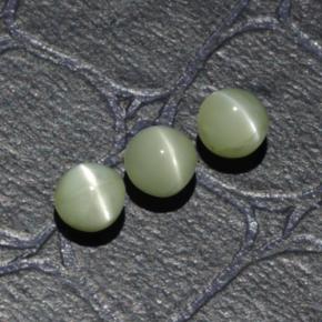 Achetez naturel 1.61ct Vert jaunâtre Oeil de Chat Chrysobéryl gems, Coupe roude, En provenance Inde chez GemSelect. En stock, livraison internationale!