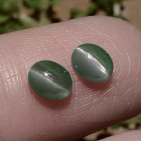 Achetez naturel 1,06ct vert chrysoberyl cat's eye gems, coupe ovale, en provenance inde chez gemselect. en stock, livraison internationale!