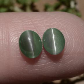Achetez naturel 1,06ct vert chrysoberyl cat's eye gems, coupe ovale, en provenance inde chez gemselect. en stock, livraison internationale!